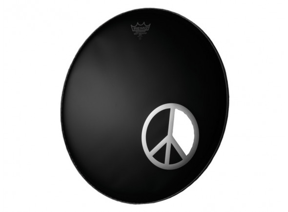 REMO dm-pc06-10 REMO dm-pc06-10